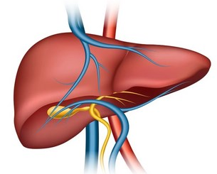 [Гарбузова Галa] Печень. Детоксикация. Методически_0.png
